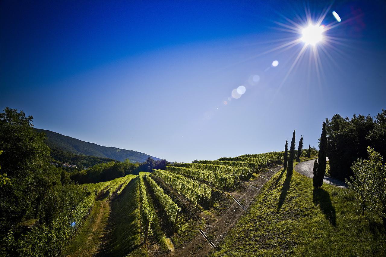 Venica & Venica Wine Resort Dolegna del Collio المظهر الخارجي الصورة